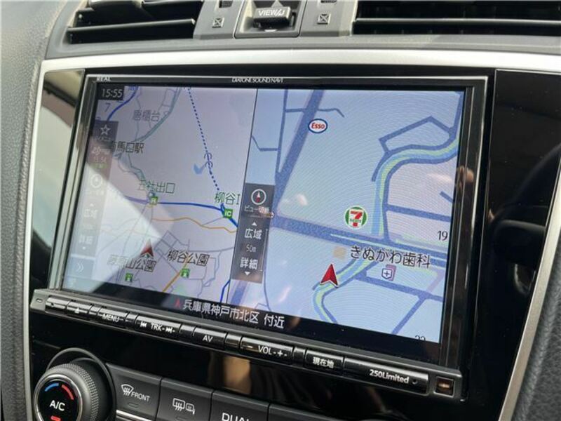 LEVORG-4