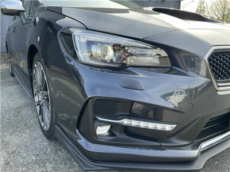 LEVORG-8