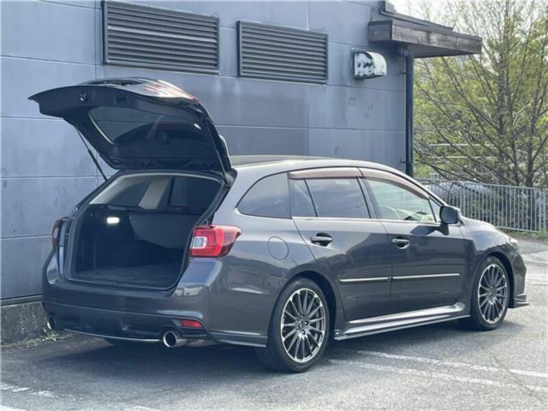 LEVORG-22