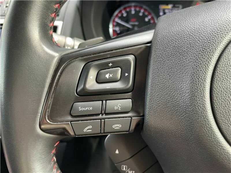 LEVORG-24