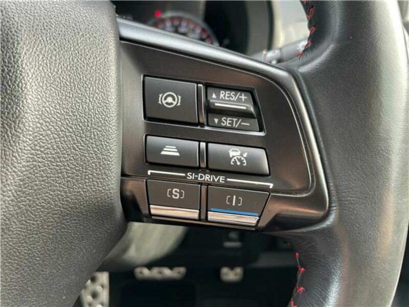 LEVORG-25