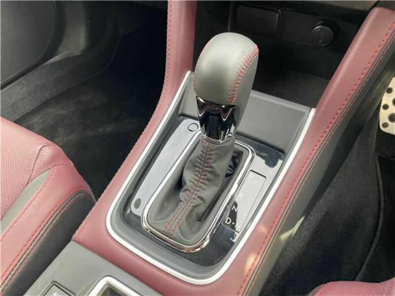 LEVORG-31