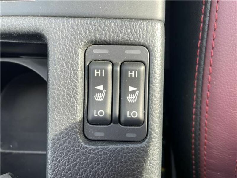 LEVORG-33