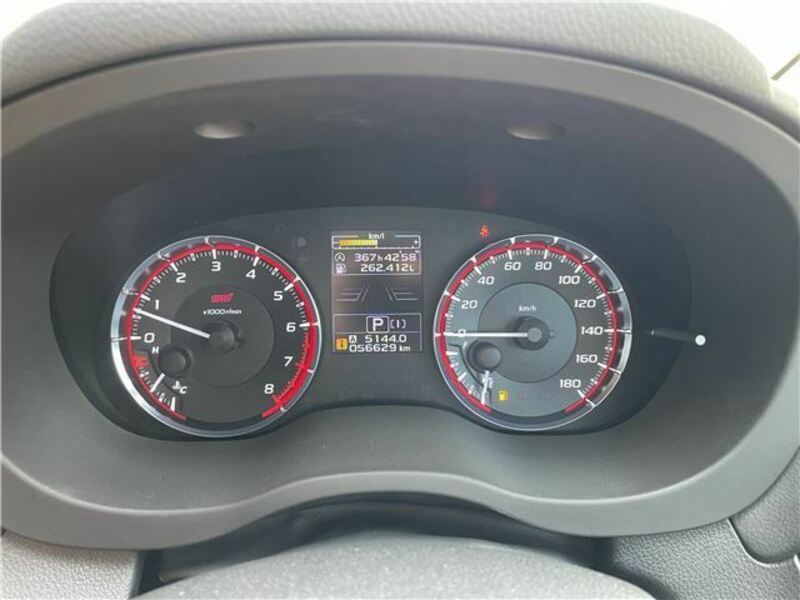 LEVORG-41