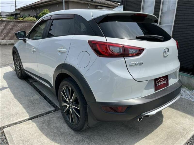 CX-3-1