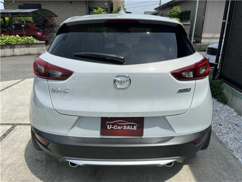 CX-3-6