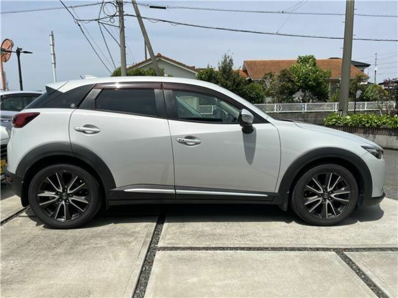 CX-3-8
