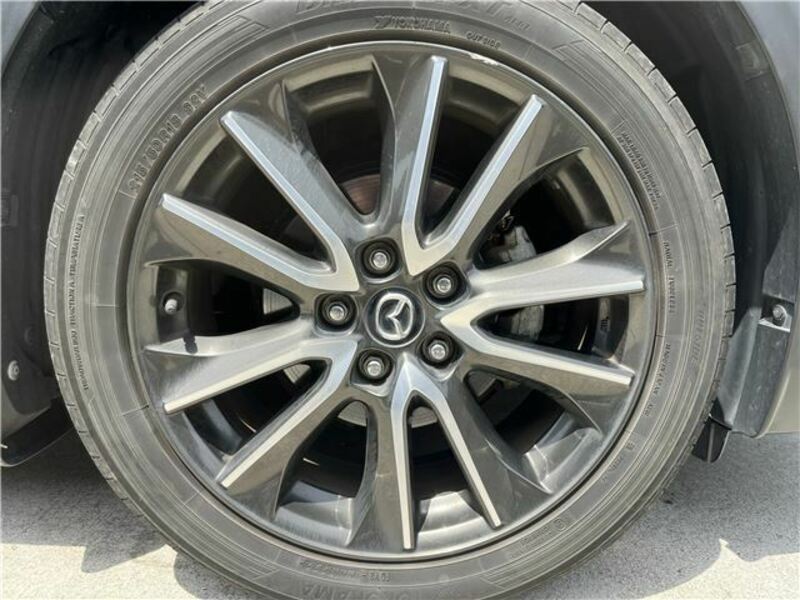 CX-3-17