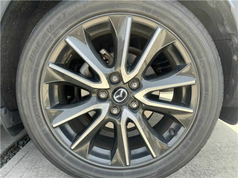 CX-3-19