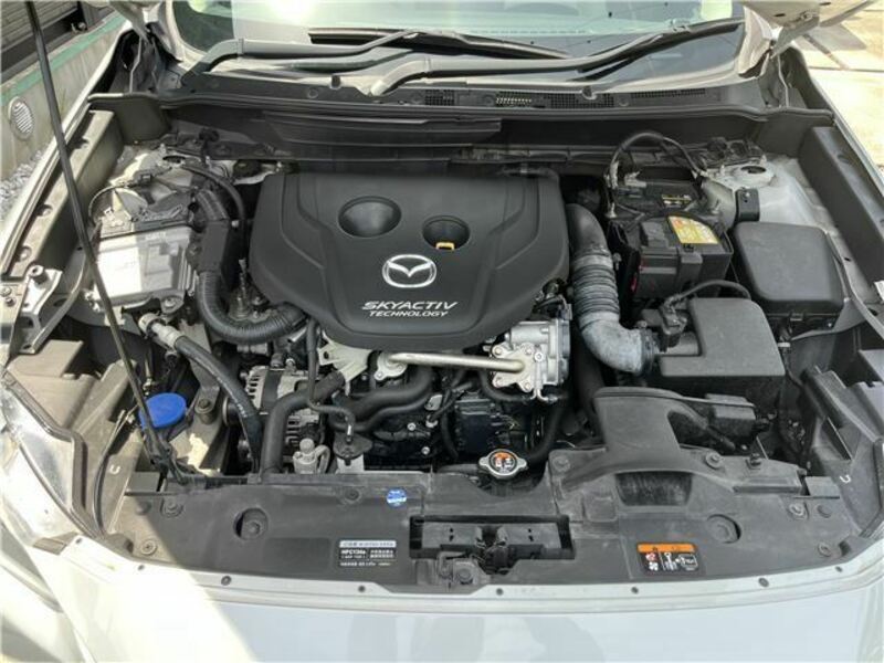 CX-3-24