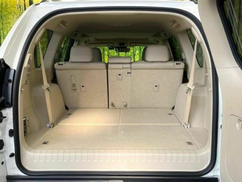 LAND CRUISER PRADO-10