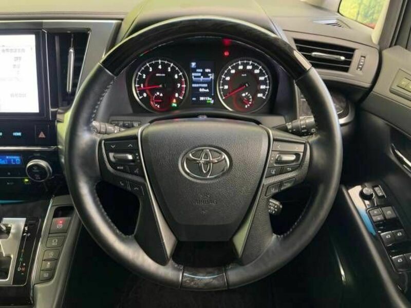 ALPHARD-10