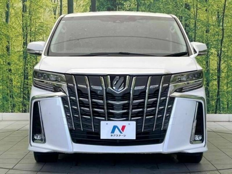 ALPHARD-13