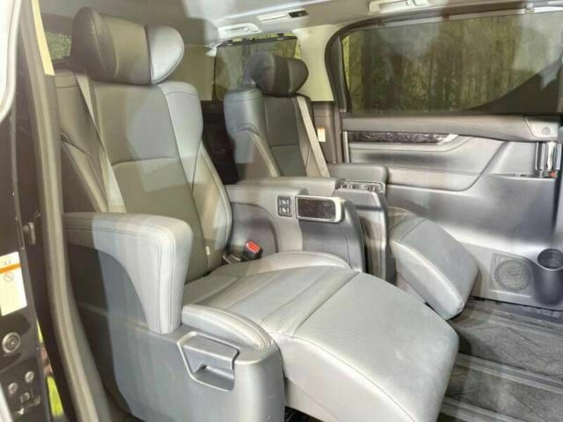 ALPHARD-8