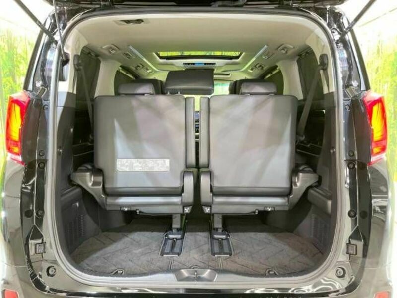 ALPHARD-10