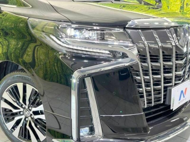 ALPHARD-12