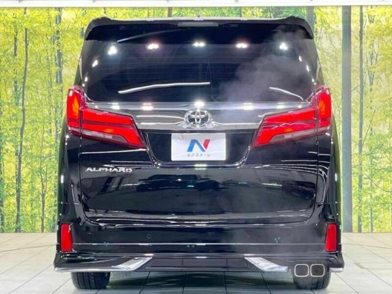ALPHARD-15