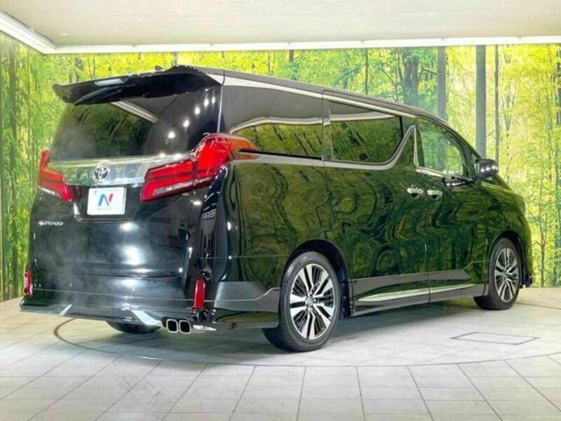 ALPHARD-16
