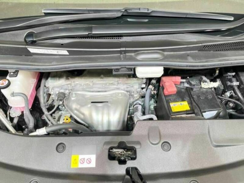 ALPHARD-17