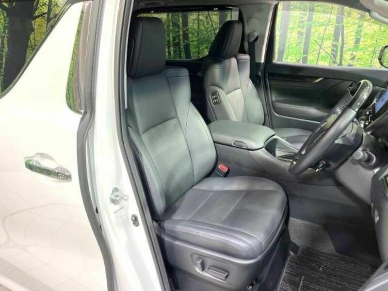 ALPHARD-10