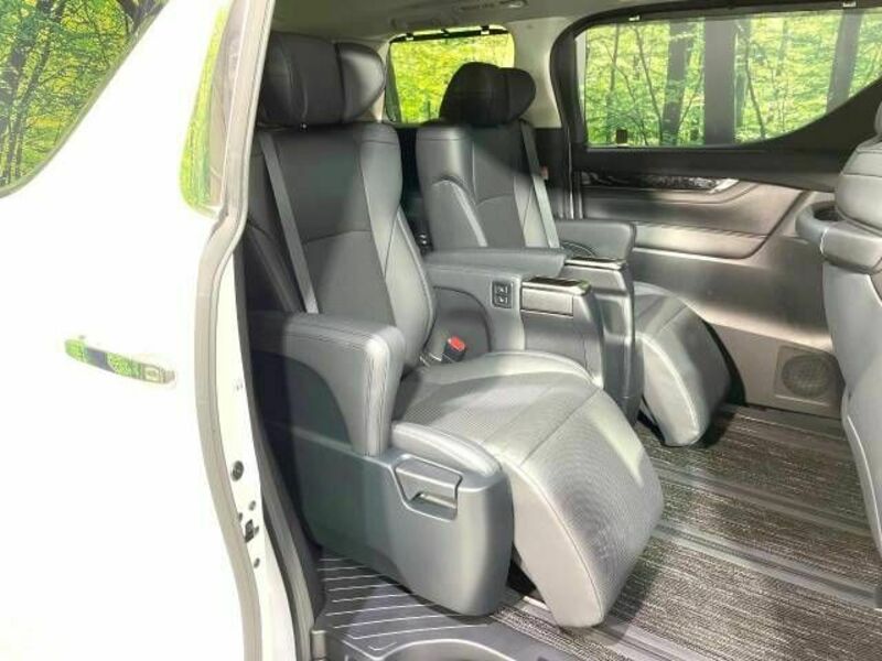 ALPHARD-11
