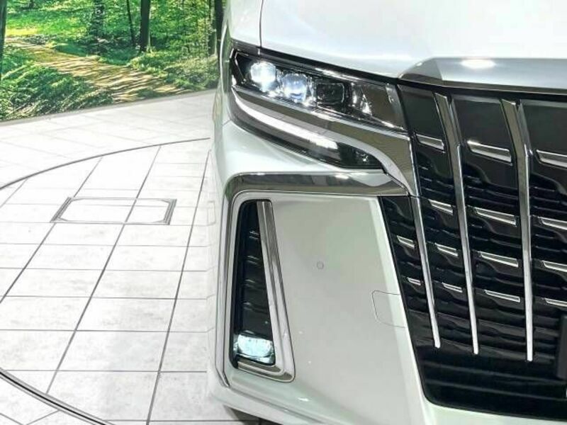 ALPHARD-13