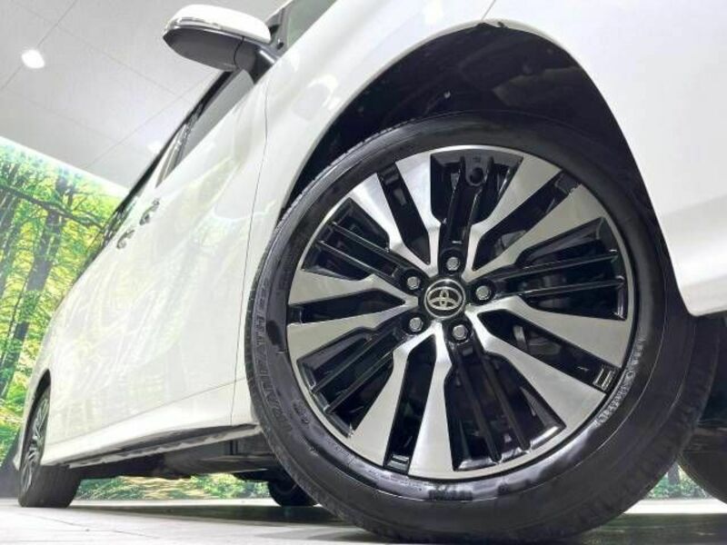 ALPHARD-14