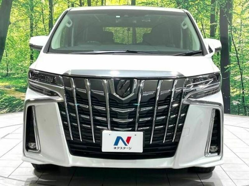 ALPHARD-15