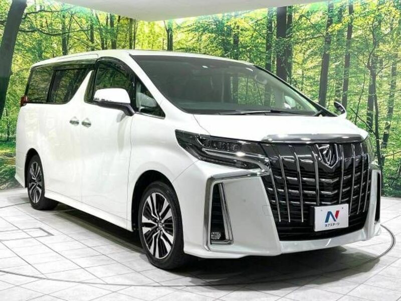 ALPHARD-17
