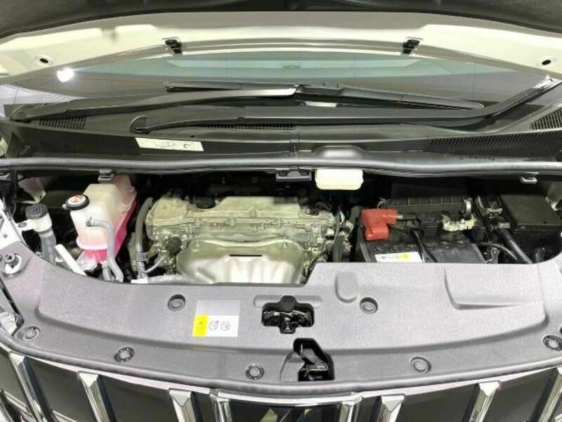 ALPHARD-19