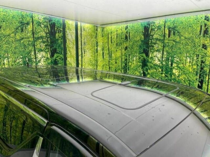 ALPHARD-2