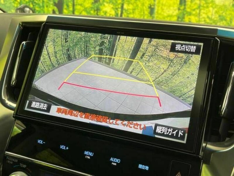 ALPHARD-6