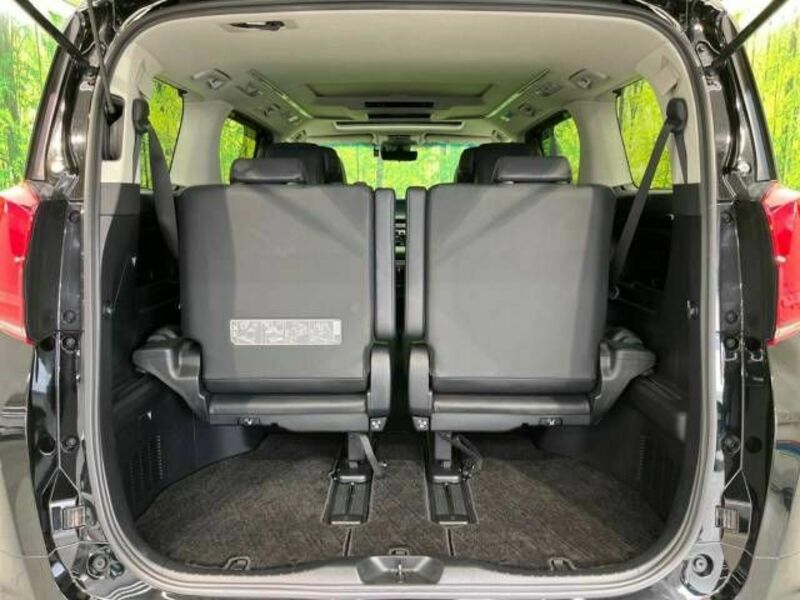ALPHARD-10