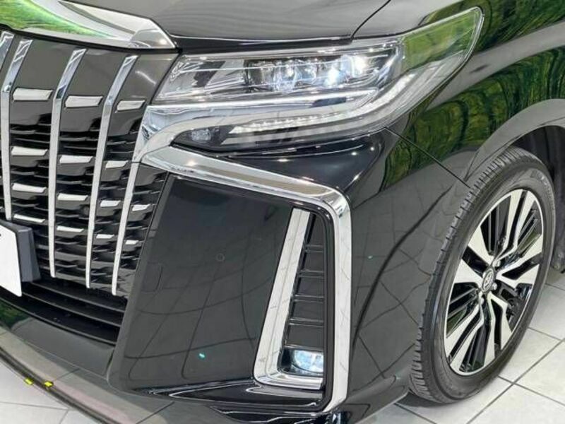 ALPHARD-13