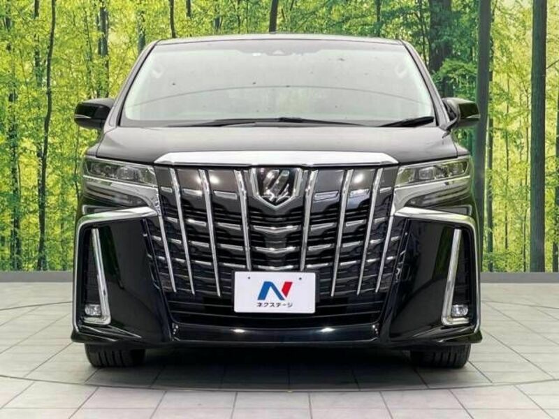 ALPHARD-14