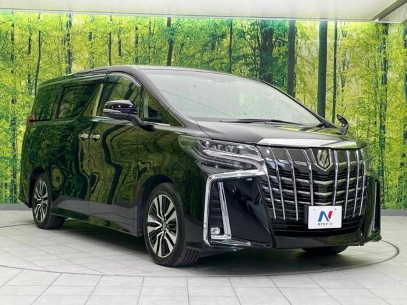 ALPHARD-16
