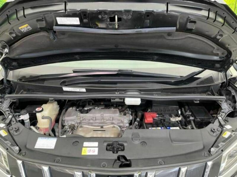 ALPHARD-18