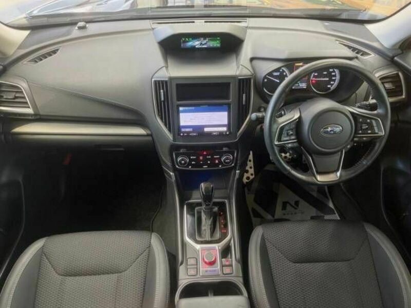 FORESTER-1