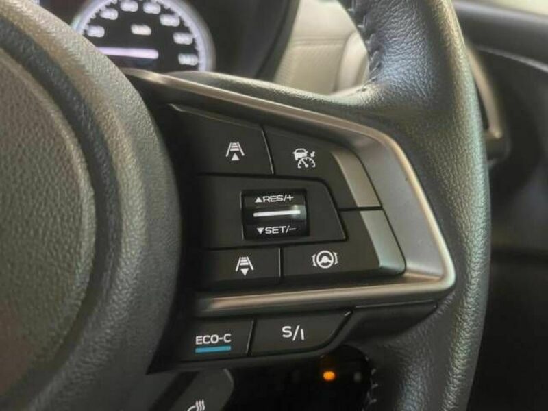 FORESTER-4