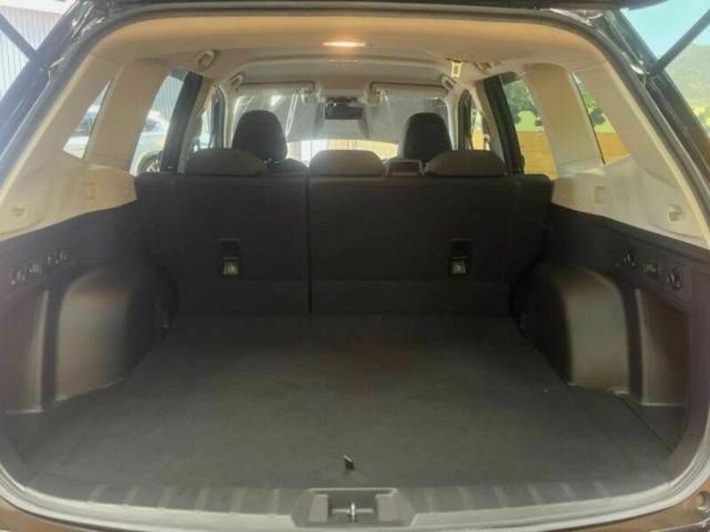 FORESTER-9