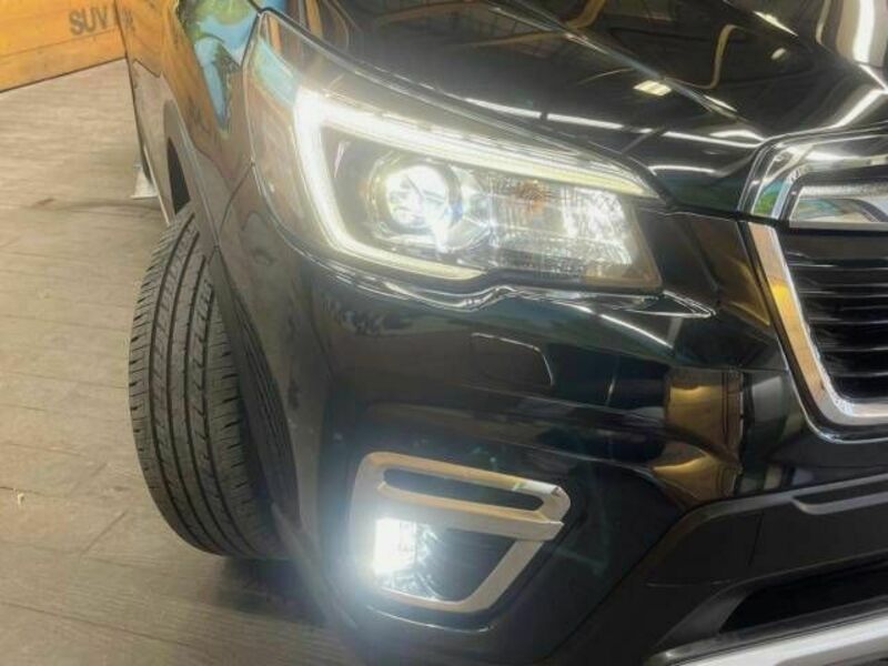 FORESTER-11