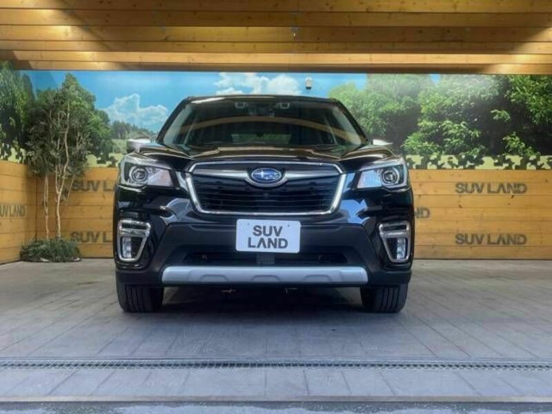 FORESTER-13