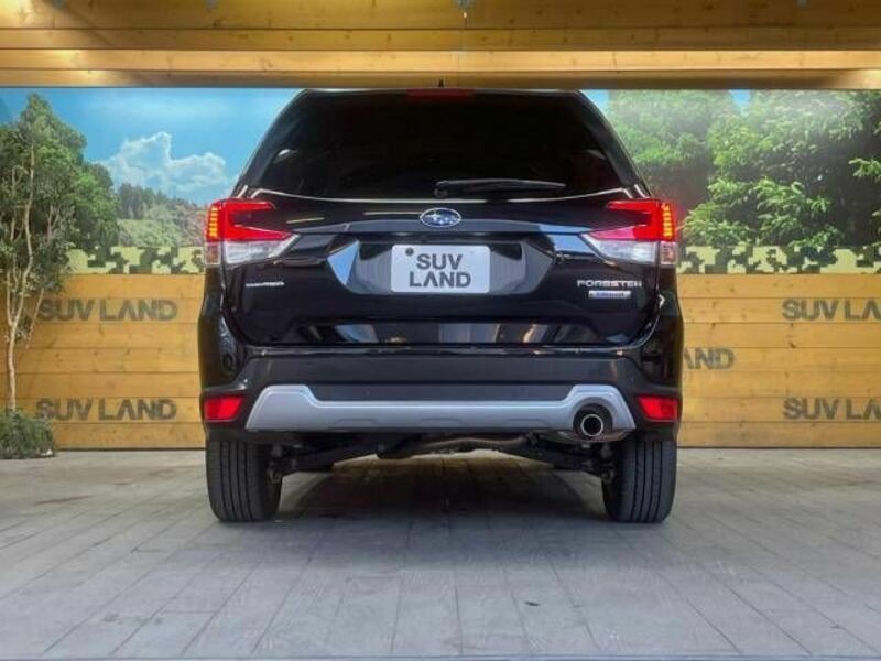 FORESTER-14