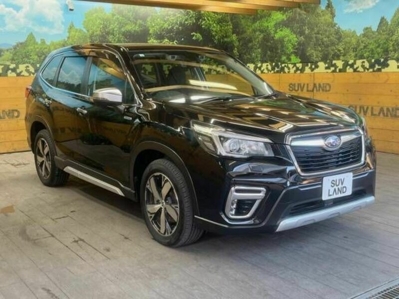 FORESTER-15