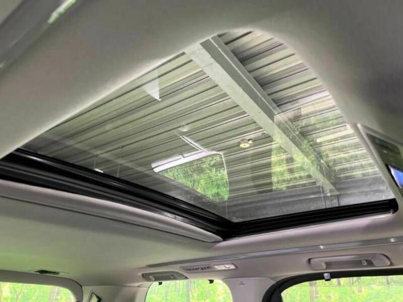 ALPHARD-3