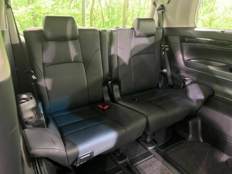 ALPHARD-10