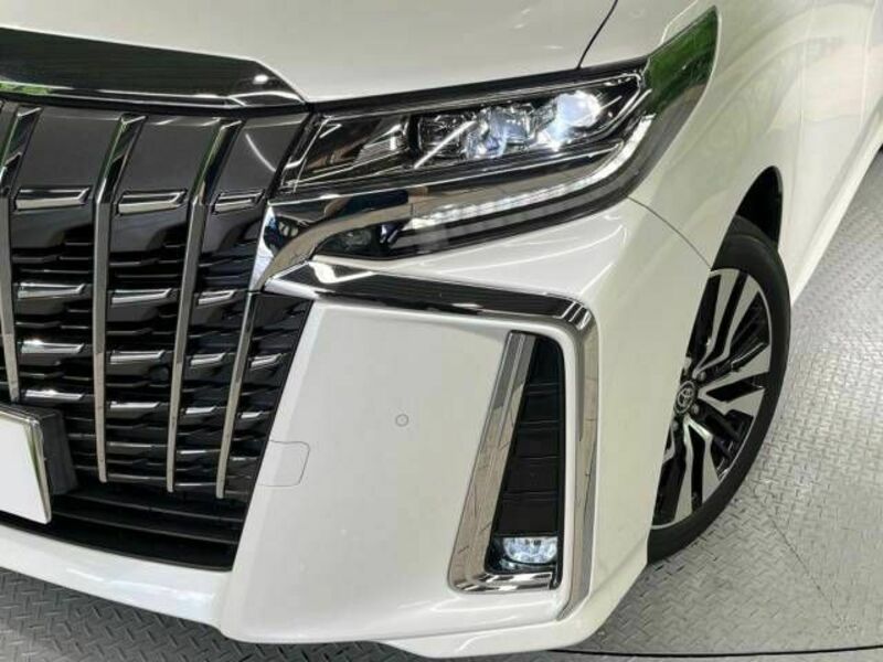 ALPHARD-13