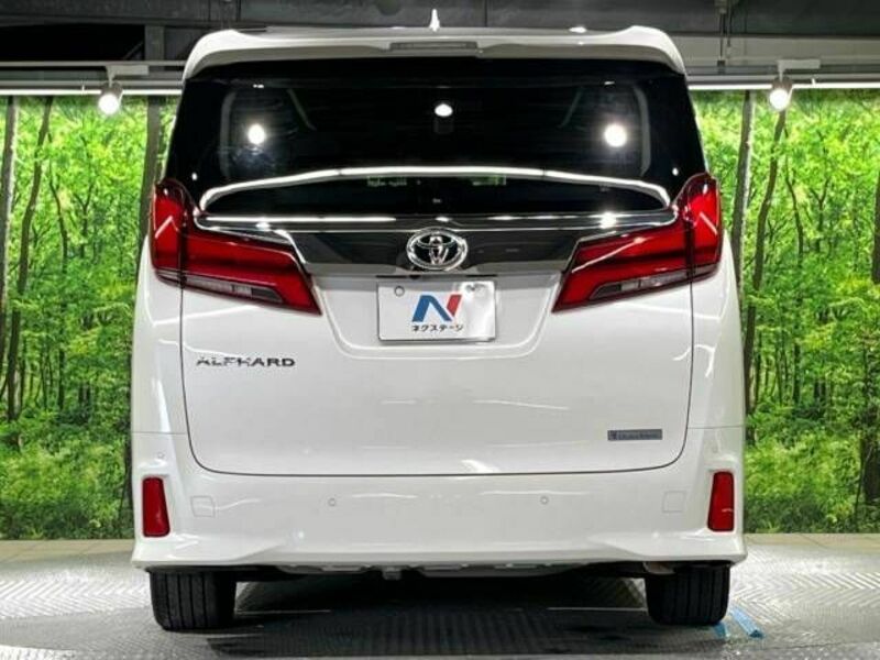 ALPHARD-16