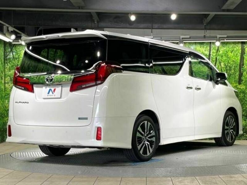 ALPHARD-18