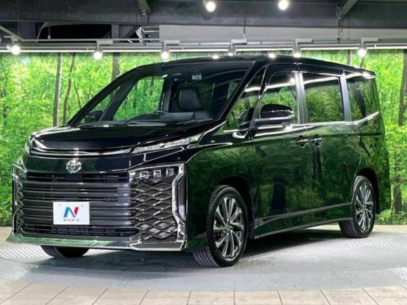 VOXY-18